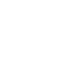 MAGNETTI-MARELLI-Negativo.png