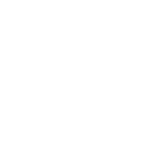SKF-Negativo.png